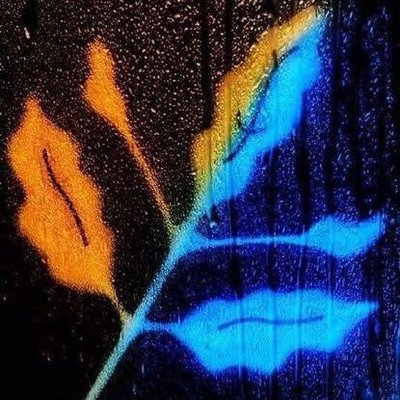 爪 乇 ㄒ İ 几's profile picture