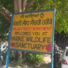 Ashish Kaushal's profile picture