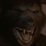 ReverendWerewolf's profile picture