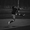 Noah Wolf's profile picture
