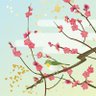 信長's profile picture