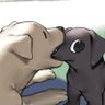 SpiRit's profile picture