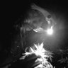 Diego 的头像