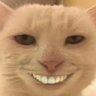Jasper's profile picture