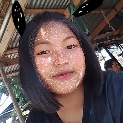 llit08759892's profile picture