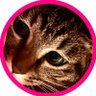 あゆみ💗🌋🛫Hideaway🌸's profile picture
