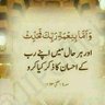 Mrs Fatima Rehman🇵🇰 的头像