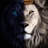 Profilbild von KÏÑG 🦁