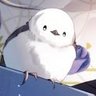 大助 👑 まこと。本命最推し's profile picture