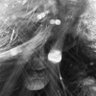 Seema Lyall's profile picture