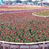 Фото профиля รัก สว จริงใจ
