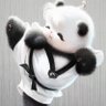 春野's profile picture
