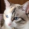 じんめ〜んです profil fotoğrafı