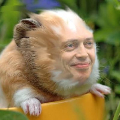 Buscehiko's profile picture