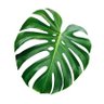 elDailyPolitic's profile picture