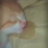 Profilbild von Emi