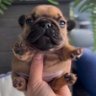 Profilbild von Oscar Pรฉrez