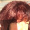 Profilbild von DP