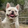 k3 profil fotoğrafı
