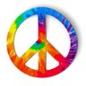 Ivan Keller's profile picture