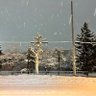 ネイト profil fotoğrafı