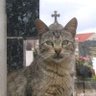 GNADJO profil fotoğrafı