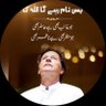 Sohail Khan (PTI)'s profile picture