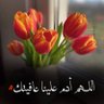 ahmed_zad 的头像
