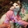 Jean Karam جان كرم's profile picture