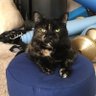 Suzie H's profile picture
