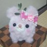 いちまる's profile picture
