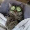 Bob's profile picture