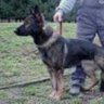DeeAnn profil fotoğrafı