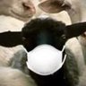 Borrid Candlewick@mumbleking's profile picture