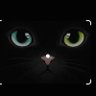 gato profil fotoğrafı