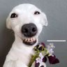rozen profil fotoğrafı
