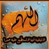 Faiez ALASSAF's profile picture