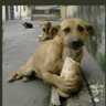 . profil fotoğrafı