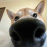 陈平安's profile picture