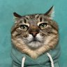 J's profile picture