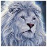 Profilbild von Samer AL Banna