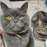 タカ profil fotoğrafı