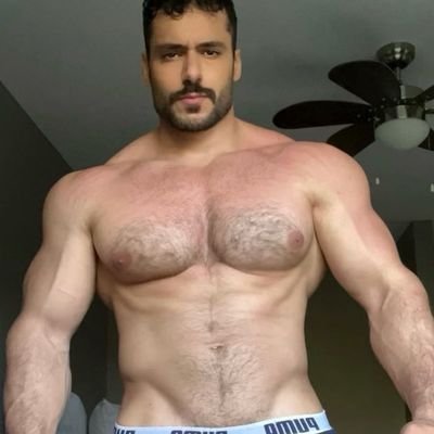 mostafa.rok's profile picture