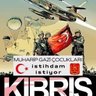 UlkeSevdalısı's profile picture