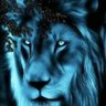 Tabi 🟧 lionwix $well ☉ ℝ ∀ profil fotoğrafı