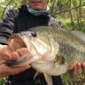 ロクマル profil fotoğrafı