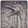 Dracon's profile picture
