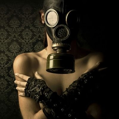 wensen's profile picture