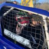 Célia Eymeri's profile picture