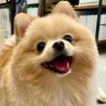 ちっちょ 的头像
